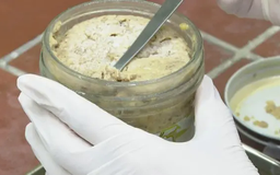 Thanh niên bị ngộ độc nặng sau khi ăn pate đóng hộp