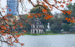 Hà Nội rực rỡ khúc giao mùa tháng Ba