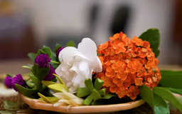 Gói hoa lưu hương sắc | Hà Nội đến để yêu | 25/05/2025