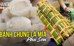 Bánh chưng lá mía - đặc sản nức tiếng Phú Sơn | HANOI Review | 24/01/2025