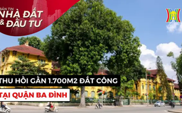 Bản tin Nhà đất và đầu tư | 25/01/2025