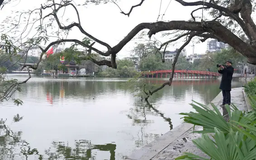 Bức tranh Hà Nội trong tiết mưa xuân