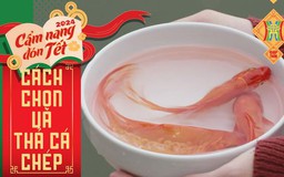 Cách chọn và thả cá cúng ông Công ông Táo