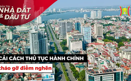 Bản tin Nhà đất và đầu tư | 26/03/2025