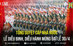 Tổng duyệt diễu binh, diễu hành cấp Nhà nước mừng đại lễ 30/4