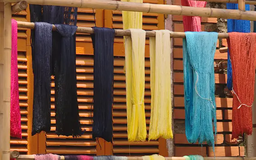 Dáng lụa tơ trên phố