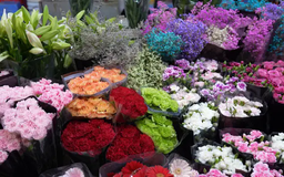 Vương vấn hương sắc chợ hoa Quảng Bá | Hà Nội đến để yêu | 27/05/2025