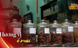 Tết Hà Nội là… hương vị ô mai