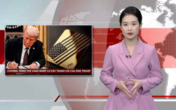Chương trình 'Thẻ vàng' nhập cư gây tranh cãi của ông Trump | Nhìn ra thế giới | 27/02/2025