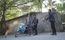 Series sitcom: Người làm chứng