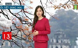 Dự báo thời tiết ngày 29/01/2023