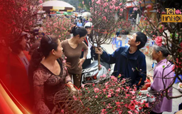Chợ hoa Hàng Lược ngày cuối năm