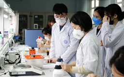 Định hướng đào tạo nhân lực chất lượng cao của Việt Nam