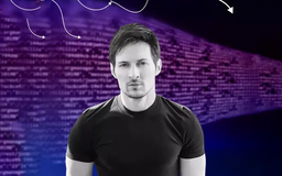 Ông chủ Telegram bị bắt, sau Pavel Durov sẽ là ai?