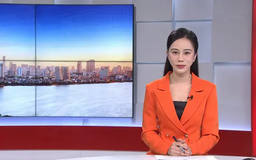 Chương trình Thời sự 11h30 | 29/04/2025