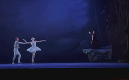 Vở ballet 'Hồ Thiên Nga' chinh phục khán giả Rio de Janeiro