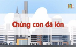 Chúng con đã lớn | Chuyện quanh ta | 05/06/2023