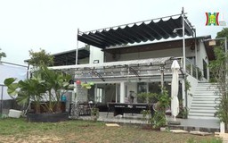 Giấc mộng Homestay| Cuộc sống thành thị| 29/10/2023