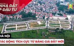 Bản tin Nhà đất và đầu tư | 29/12/2024