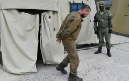 Nga và Ukraine đang tạm dừng trao đổi tù binh