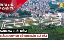 Bản tin Nhà đất và đầu tư | 30/10/2024