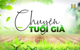 Thú chơi cây cảnh ở người cao tuổi| Chuyện tuổi già | 31/03/2024