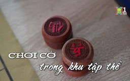 Chơi cờ tướng ở khu tập thể| Nhịp sống Hà Nội| 31/03/2024