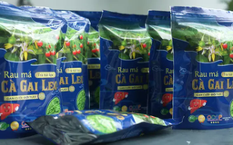 Trà rau má - cà gai leo được sản xuất như thế nào? | Made in Hanoi | 30/05/2025