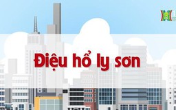 Điệu hổ ly sơn | Chuyện quanh ta | tập 60 | 30/07/2023