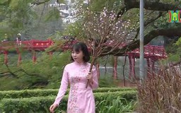 Hà Nội trong ngày đầu nghỉ lễ đón năm mới 2023