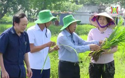 Người phụ nữ giúp nâng tầm hạt 'ngọc' Việt | Người tốt quanh ta | 02/08/2024