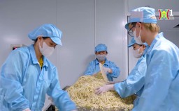 Phát triển các giải pháp công nghệ trong nông nghiệp sạch | Công nghệ và đời sống | 02/10/2024
