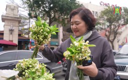 Hương hoa bưởi quyến rũ trên phố phường Hà Nội