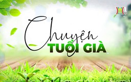 Nòng cốt phong trào ông bà mẫu mực, con cháu thảo hiền | Chuyện tuổi già | 03/11/2024