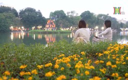 Sắc hoa cuối thu