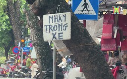 Liệu có dẹp được nạn trông xe tự phát | Chuyện đô thị | 03/08/2024