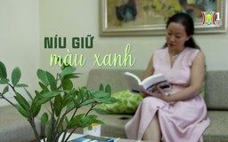 Níu giữ màu xanh | Cuộc sống thành thị | 04/10/2024