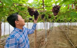 Hợp tác giảm phát thải, hướng tới net zero | Thủ đô và thế giới | 21/04/2025