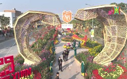 Không gian tết Việt nổi bật giữa lòng khu đô thị