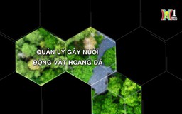 Quản lý gây nuôi động vật hoang dã | Tạp chí Kiểm lâm | 27/07/2024