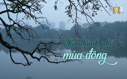Phía thành phố mùa đông | Phóng sự tài liệu | 06/11/2024