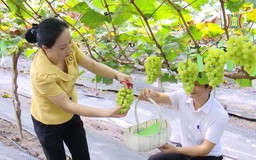 Phát triển nông nghiệp sinh thái | Chính quyền đô thị | 07/02/2025
