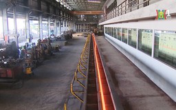 Doanh nghiệp sẵn sàng ứng phó thuế đối ứng Mỹ | Thủ đô và thế giới | 07/06/2025