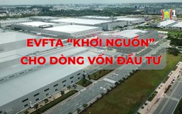 EVFTA và những tác động tới đầu tư FDI tại Việt Nam | Thủ đô và thế giới | 07/09/2024