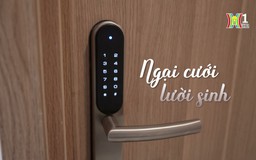 Ngại cưới & lười sinh | Cuộc sống thành thị | 07/09/2024