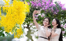 Ngắm hoa Hà Nội đầu hè | HANOI Review | 07/06/2025