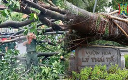 Lãnh đạo Hà Nội đồng loạt đi kiểm tra công tác khắc phục hậu quả bão số 3
