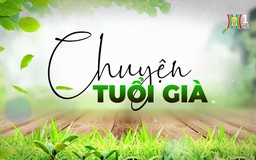 Vũ điệu đường phố và người cao tuổi | Chuyện tuổi già | 10/11/2024