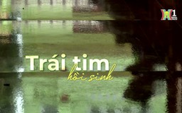 Trái tim hồi sinh