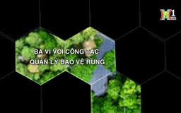 Ba Vì với công tác quản lý bảo vệ rừng | Tạp chí Kiểm lâm | 10/08/2024